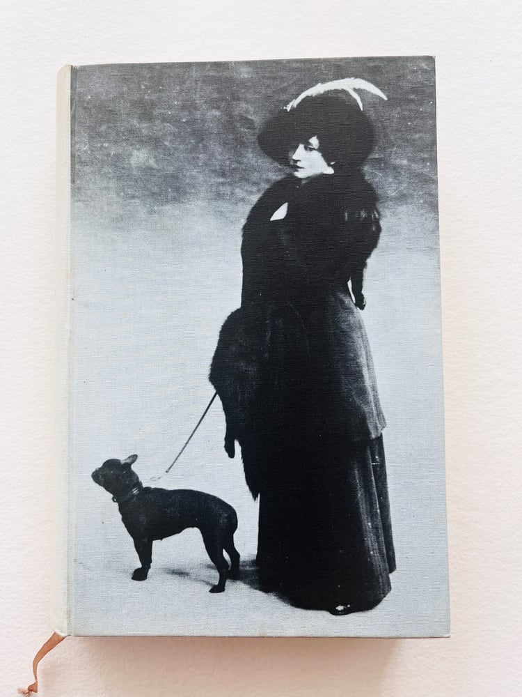 Image of BOOK_SIDONIE