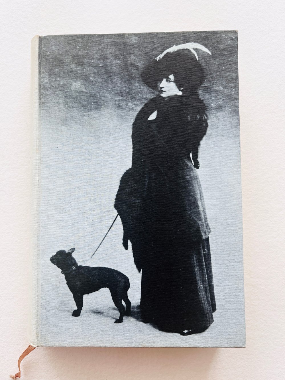 Image of BOOK_SIDONIE