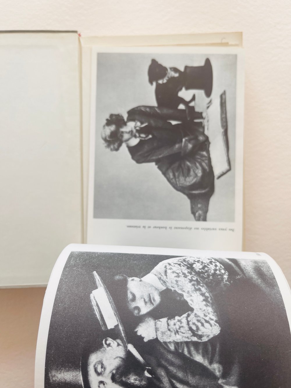 Image of BOOK_SIDONIE