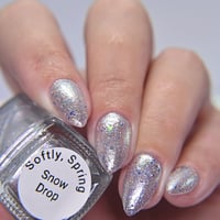 Image 8 of Snow Drop