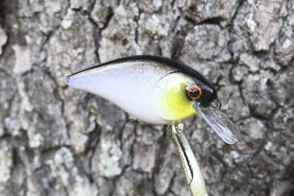 Custom Airbrushed LC 1.5 Squarebill Crankbait 382