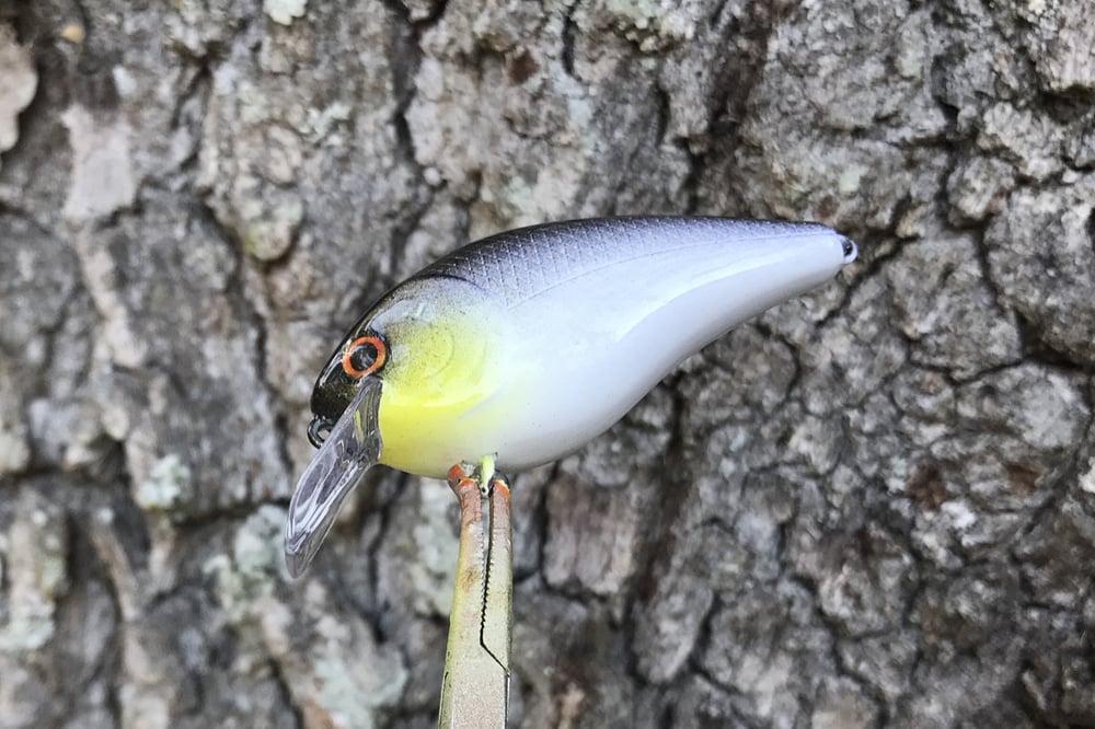 Custom Airbrushed LC 1.5 Squarebill Crankbait 382 - Image 4