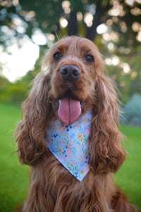 Image 2 of Easter Meadow - Reversible Dog Bandana