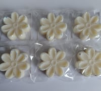 Image 1 of Baby Powder Flower