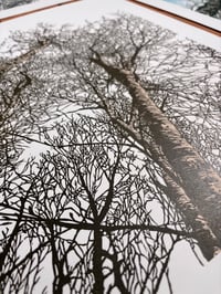 Image 4 of Woodland Edge (version 2)