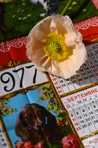 Image 1 of Torchon 1977