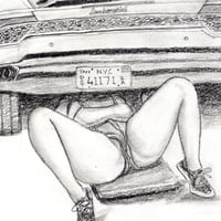 Image 2 of The Hitchhikers