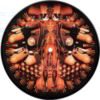 Image 2 of Swarrrm – Swarrrm 7" Picture Disc