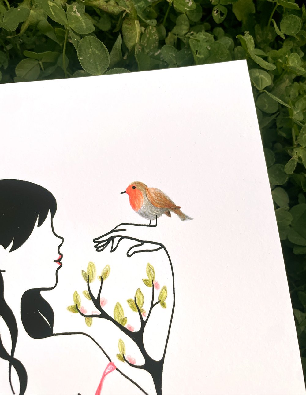 Image of "Soutien-Rouge-Gorge" limited homemade art print