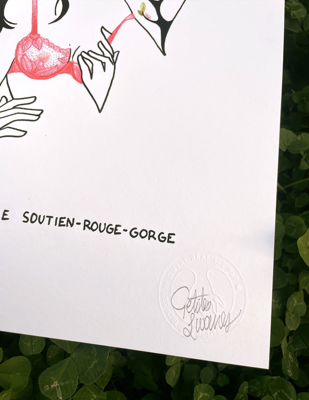 Image of "Soutien-Rouge-Gorge" limited homemade art print