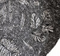 Image 3 of Handmade Textured Black Wall Plate – Sculptural Papier-Mache Wall Art