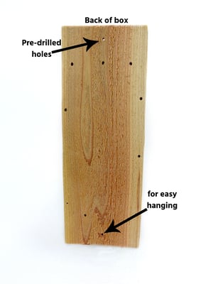 Image of Chickadee Wren Cedar Nesting Box