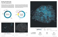 Image 6 of PARIS ATLAS - APUR