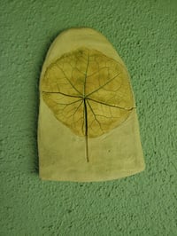 Image 5 of 2 pieces Nasturtium Leaves 