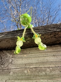 Image 3 of Apple bottom