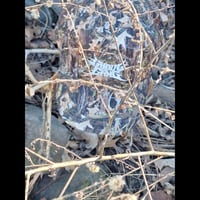 Image 1 of Camo hat
