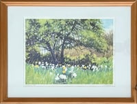 Image 1 of Daffodils
