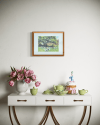 Image 3 of Daffodils