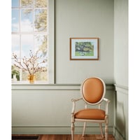 Image 4 of Daffodils