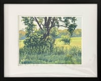 Image 1 of Afternoon Sun