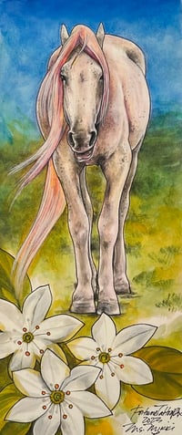 Image 4 of Horse Offerings 1