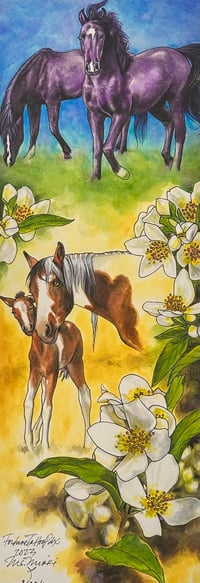 Image 1 of Horse Offerings 1