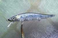 Image 1 of SPEEDBAITS Custom Airbrushed TA 110 Jerkbait SUSPEND 6230