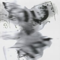 Image 3 of COMPOST DIGESTIVE 02