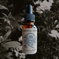 Image 1 of Transmutate 