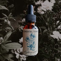 Image 1 of St John's Wort