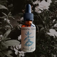 Image 1 of Femme Force