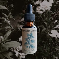 Image 1 of Lemon Balm