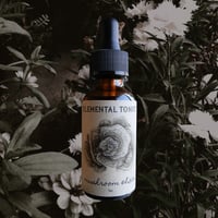 Image 1 of Mushroom Elixir