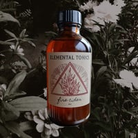 Image 1 of Fire Cider Oxymel