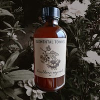 Image 1 of Hawthorn Oxymel 