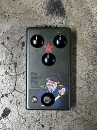 Image 1 of Pig Muff Pig: Зелёная свинья