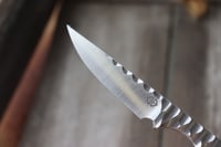 Image 2 of Shrapnel custom 