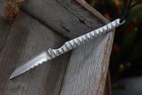 Image 3 of Shrapnel custom 