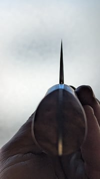 Image 5 of 14c28n Fulltang Gyuto| Amboina Burl