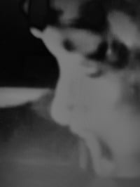 (yumi)(no)(MONOGURUI)(ii):(MIMODRAMA)(digital copy)