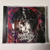 DEAD FLESH STIGMA (Fin) - NECROCOSMIC DEATH RITUAL - CD