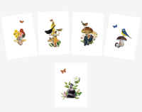 Image 2 of Cartes BOTANIQUES