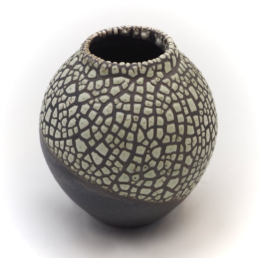 Image of Lichen Glaze 001