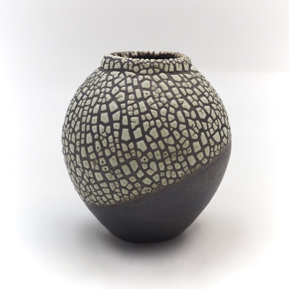 Image of Lichen Glaze 001