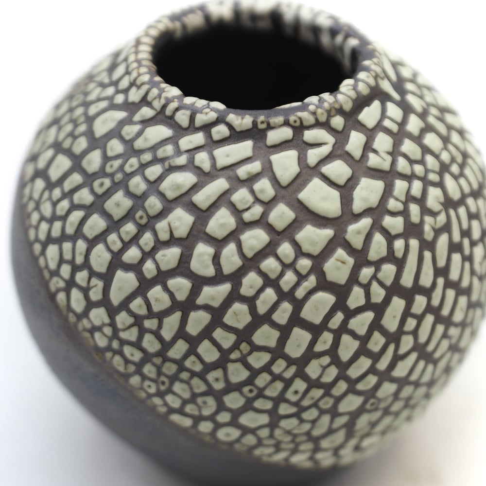 Image of Lichen Glaze 002