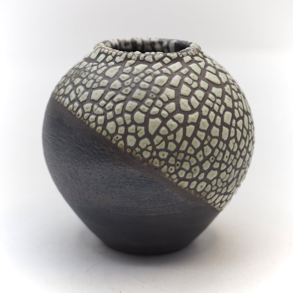 Image of Lichen Glaze 002