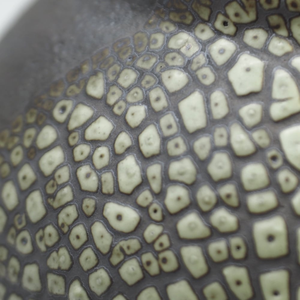 Image of Lichen Glaze Moon Jar
