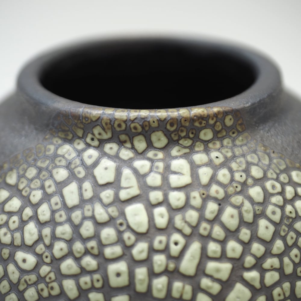 Image of Lichen Glaze Moon Jar