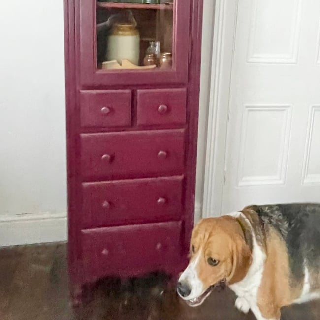 Painted Pantry Cupboard 
