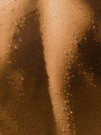 Image 4 of Vegan Moisturizing Shampoo NYC Hair BYMANYC